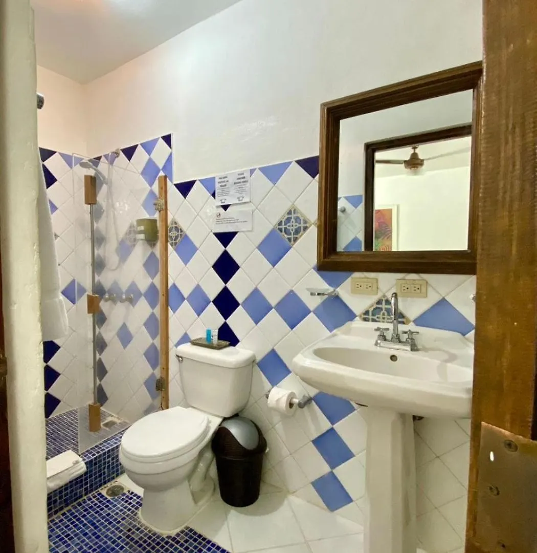 Historic Colonial Boutique Hotel Pool Jacuzzi Bar Restaurant By Aa Group Σάντο Ντομίγκο